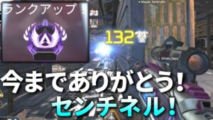 伝説企画『全員スナイパーだけでマスター』達成！コメ欄が沸いた最強スナイパー連携まとめ | Apex Legends