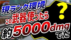 【APEX LEGENDS】現ランク環境でこの武器使ったら、約5000ダメージ出た!!【エーペックスレジェンズ】