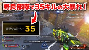 【APEX LEGENDS】野良部隊で35キルはあまりに暴れすぎじゃない?【エーペックスレジェンズ】