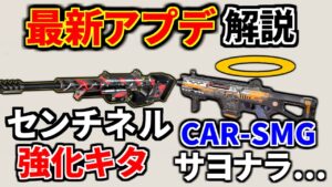 最新大型アプデ解説!さよならCAR.. 誰でもカスタムマッチ開催可能に!センチネルとプラウラーが鬼強化!! | Apex Legends