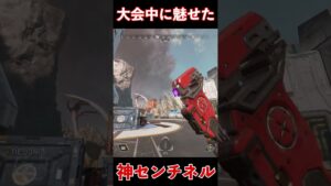 大会で魅せた対空センチネルがやばいwww│Apex Legends  #shorts #apex #apexlegends