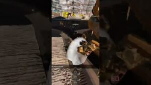 Apex Legends Buster brothers #shorts #apex #apexlegends #apexlegendsclips #funny #funnyshorts