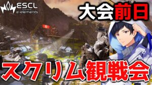 【神視点】本番想定プロスクリムAvsC　ESCL Apex Legends  《Group1》【APEX】