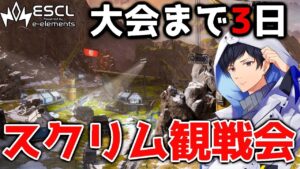 【神視点】残り3日本番想定プロスクリムAvsC ESCL Apex Legends  【APEX】