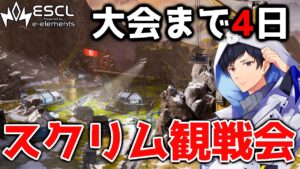 【神視点】残り少ない本番想定プロスクリムBvsC　ESCL Apex Legends  【APEX】