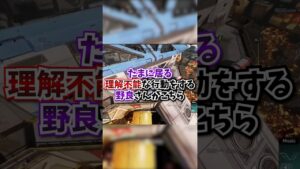 【APEX】もはや意味不明・・・たまに居る謎ムーブをしてくる野良さんがこちらｗｗｗ#apex #apexlegends #gaming #games #fyp #おすすめ #shorts